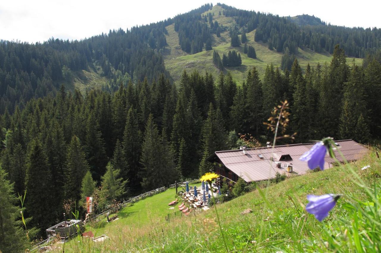 ザールバッハ・ヒンターグレム Spielberghaus Bed & Breakfast エクステリア 写真