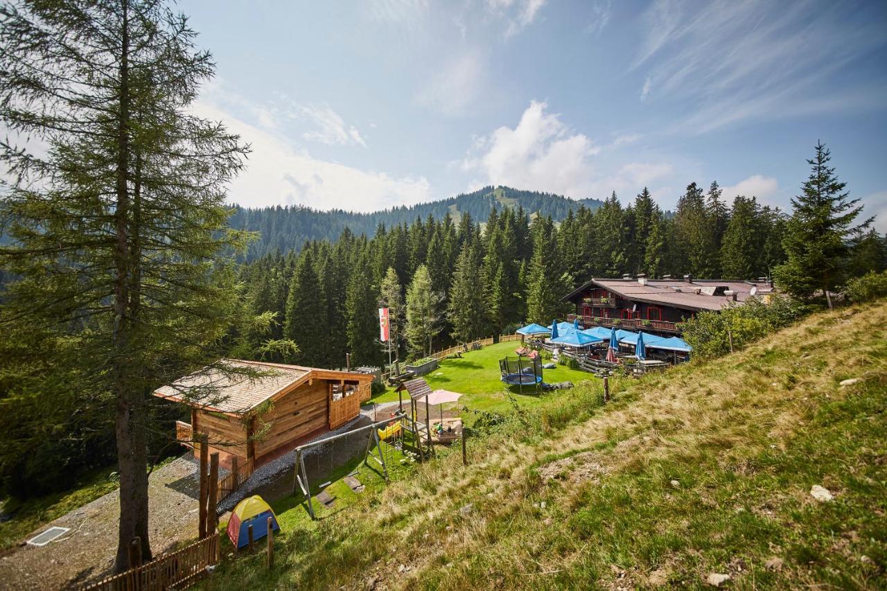 ザールバッハ・ヒンターグレム Spielberghaus Bed & Breakfast エクステリア 写真